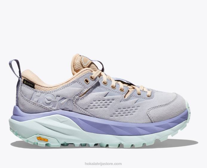 sievietes 064D111 Kaha zems gtx Hoka arktiskais ledus/violetais iespaids